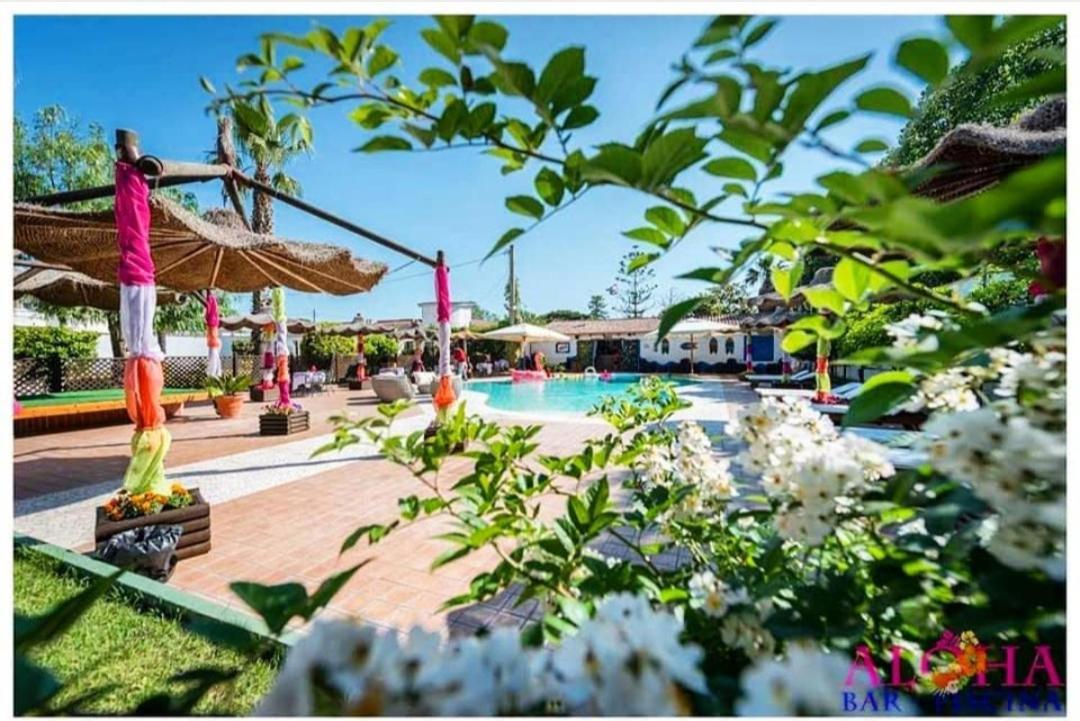 Venus Park Hotel カステル・ヴォルトゥルノ エクステリア 写真